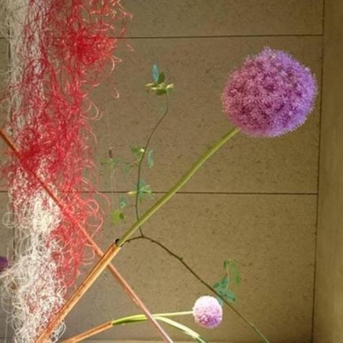 Arita Huis ภายนอก รูปภาพ